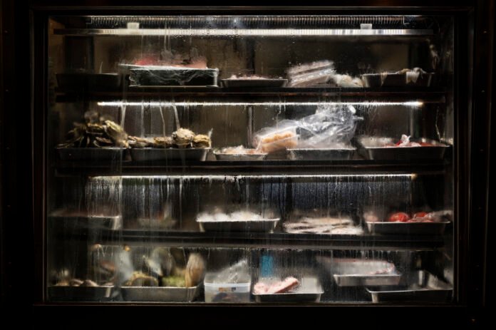 Is Cold Room Business Profitable Is Cold Room Business Profitable