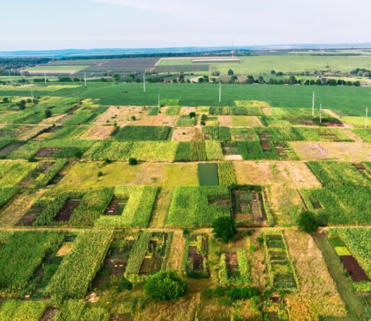 Understanding Neevilas Plots: A Comprehensive Overview