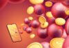 Is Crypto Lottery Suitable for Everyone? Should You Give Metalottery a Go? Is Crypto Lottery Suitable for Everyone? Should You Give Metalottery a Go?