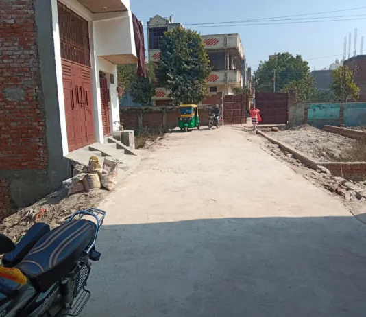 Green Initiatives And Environmental Issues In Delhi's Karawal Nagar