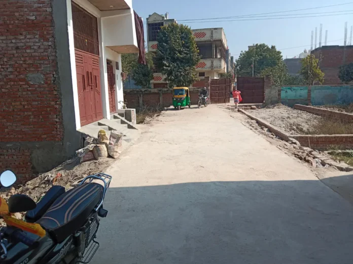 Green Initiatives And Environmental Issues In Delhi's Karawal Nagar Green Initiatives And Environmental Issues In Delhi's Karawal Nagar